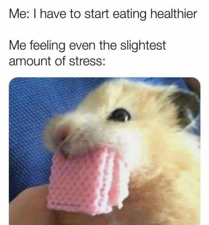 Me: I have to start eating healthier Me feeling even the slightest amount of stress: IG homyshrimp