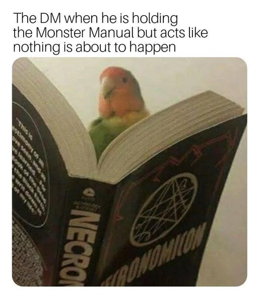The DM when he is holding the Monster Manual but acts like nothing is about to happen the 14 www ACTIBLE NECRO RONOMICON