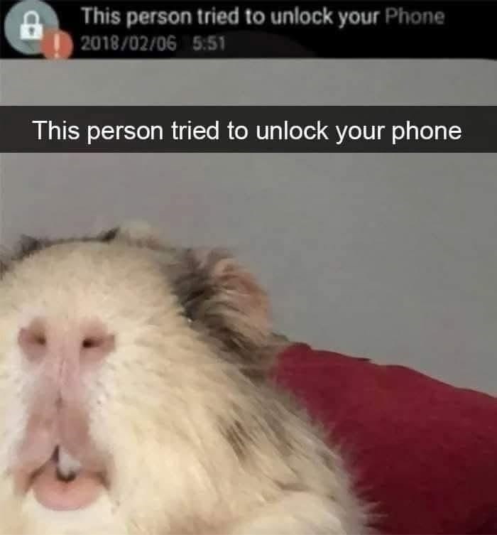 This person tried to unlock your Phone 2018/02/06 5:51 This person tried to unlock your phone