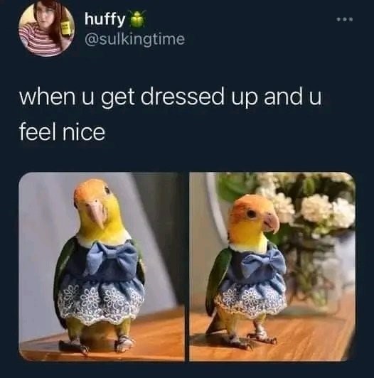 huffy @sulkingtime when u get dressed up and u feel nice