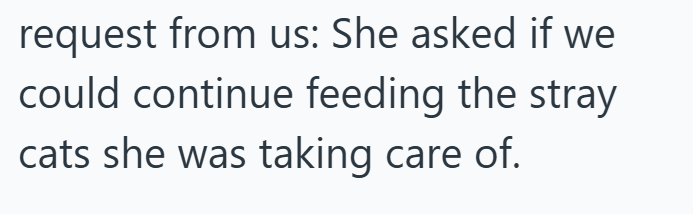 request from us: She asked if we could continue feeding the stray cats she was taking care of.