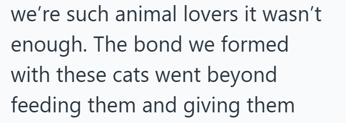 we're such animal lovers it wasn't enough. The bond we formed with these cats went beyond feeding them and giving them.