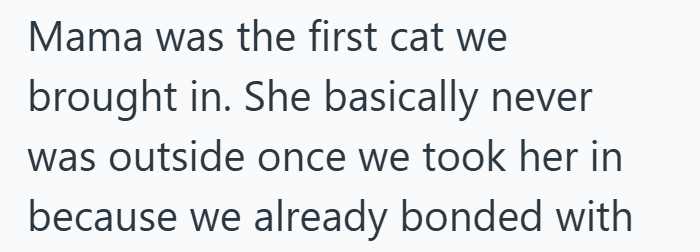 Mama was the first cat we brought in. She basically never was outside once we took her in because we already bonded with