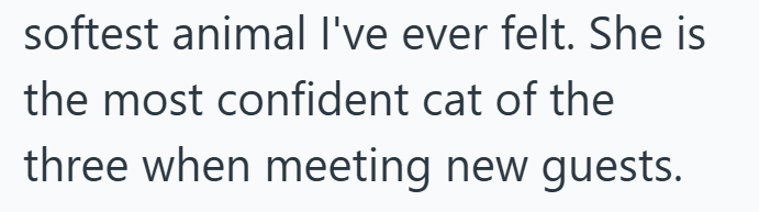 softest animal I've ever felt. She is the most confident cat of the three when meeting new guests.