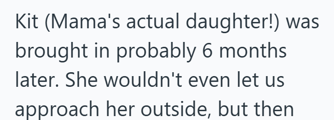 Kit (Mama's actual daughter!) was brought in probably 6 months later. She wouldn't even let us approach her outside, but then