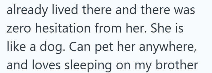 already lived there and there was zero hesitation from her. She is like a dog. Can pet her anywhere, and loves sleeping on my brother
