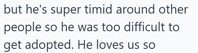 but he's super timid around other people so he was too difficult to get adopted. He loves us so