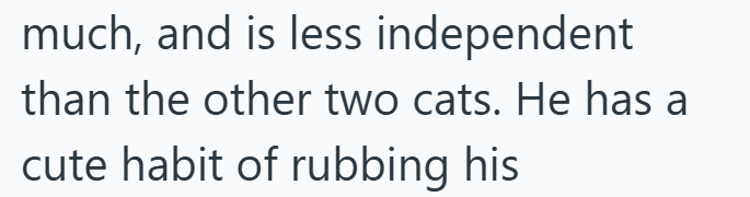 much, and is less independent than the other two cats. He has a cute habit of rubbing his