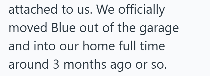 attached to us. We officially moved Blue out of the garage and into our home full time around 3 months ago or so.