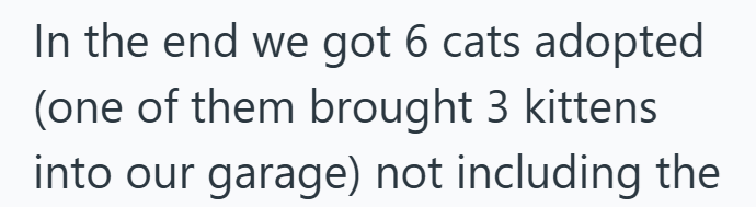 In the end we got 6 cats adopted (one of them brought 3 kittens into our garage) not including the