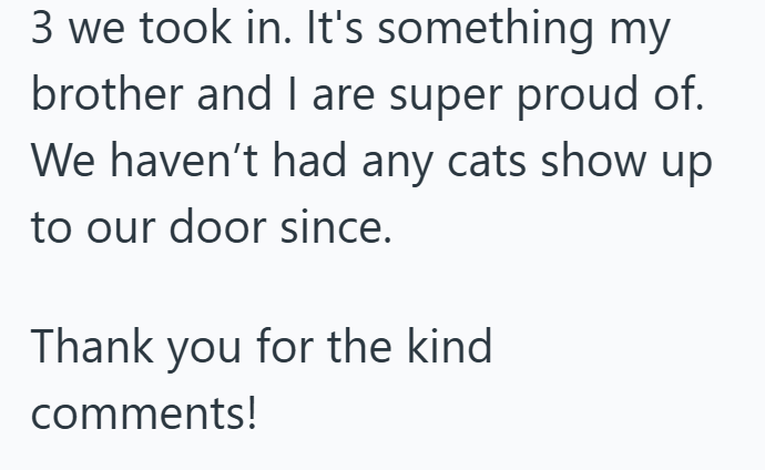 3 we took in. It's something my brother and I are super proud of. We haven't had any cats show up to our door since. Thank you for the kind. comments!