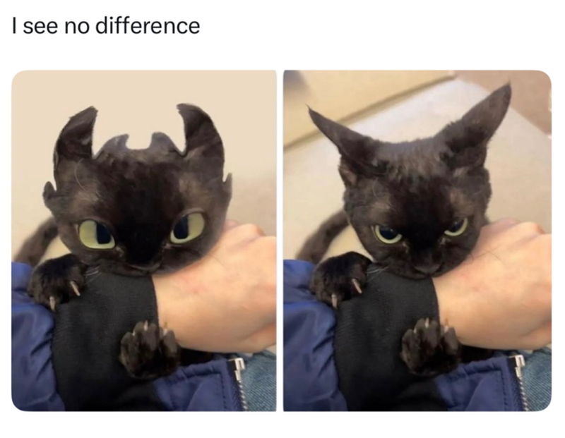 I see no difference