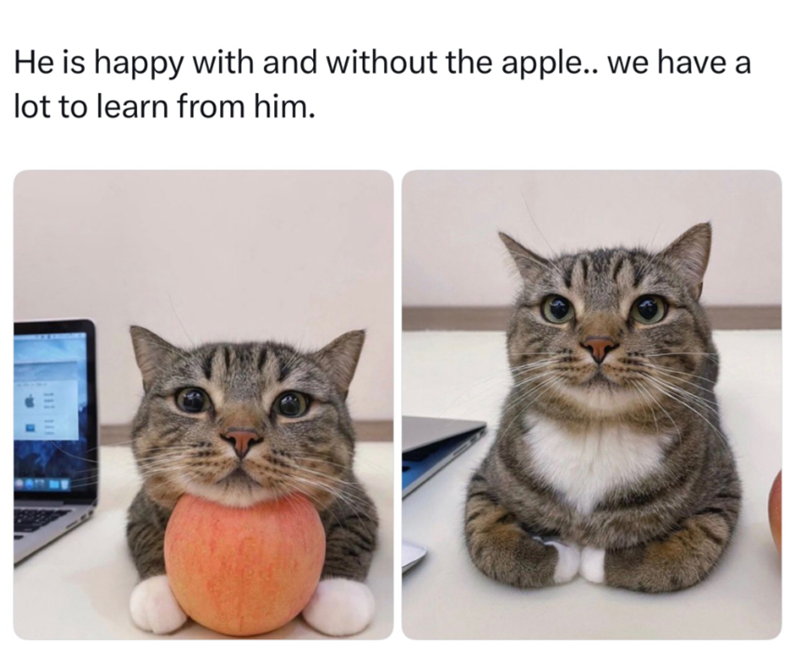 He is happy with and without the apple.. we have a lot to learn from him. 111 111