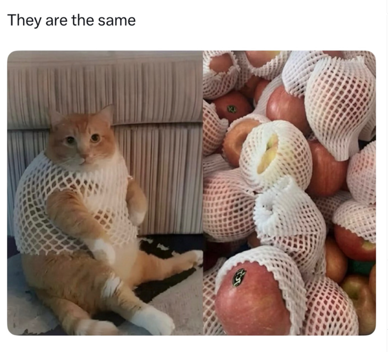 They are the same