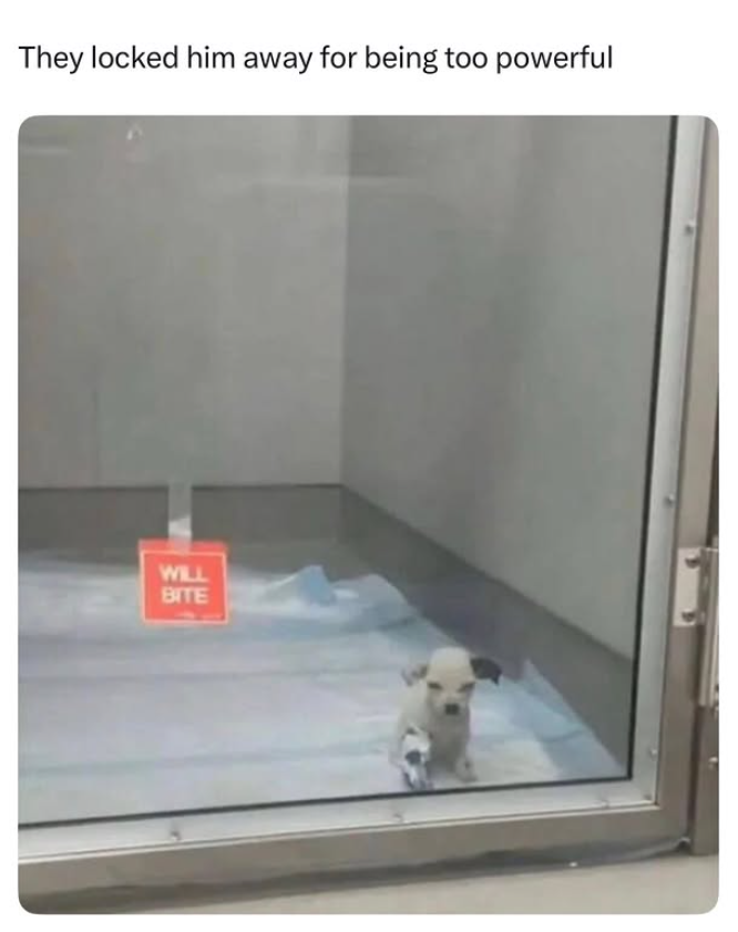 They locked him away for being too powerful WILL BITE