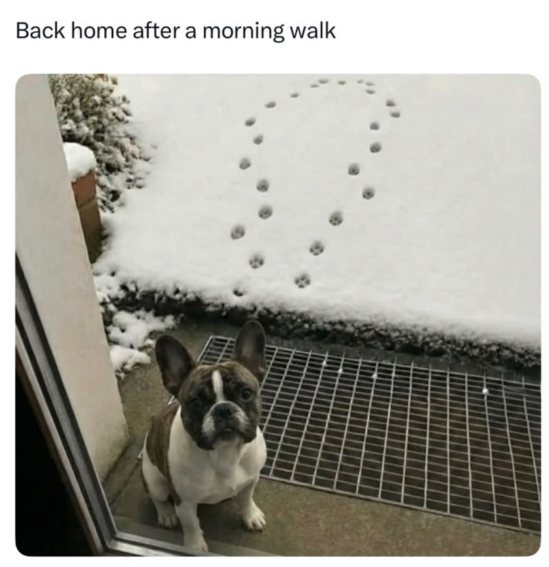 Back home after a morning walk