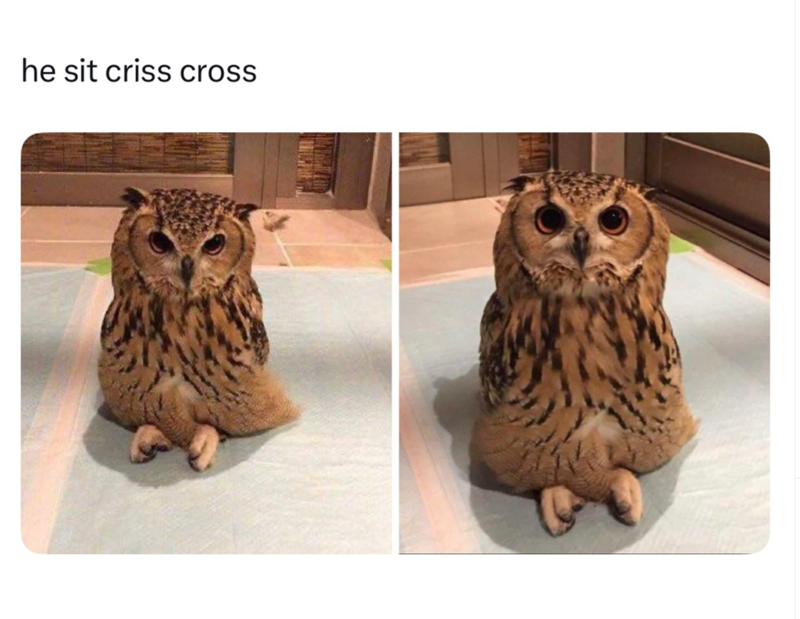 he sit criss cross