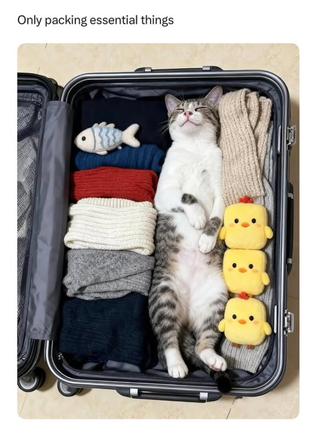 Only packing essential things