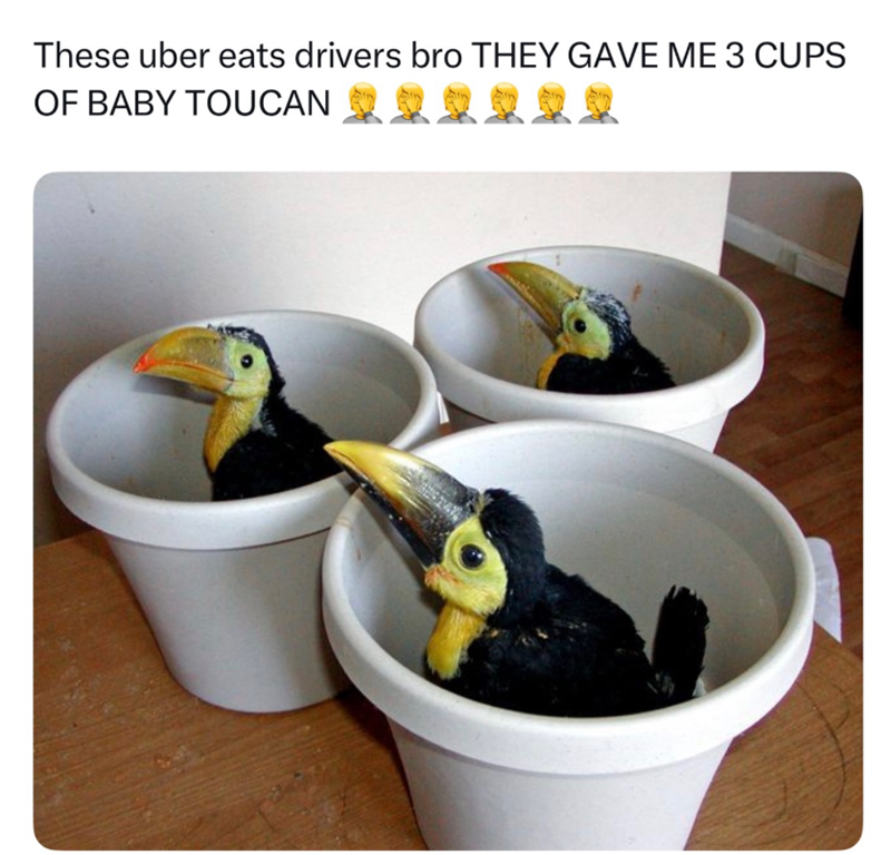 These uber eats drivers bro THEY GAVE ME 3 CUPS OF BABY TOUCAN