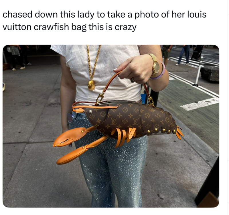 chased down this lady to take a photo of her louis vuitton crawfish bag this is crazy 田式 x X 田文 田 B