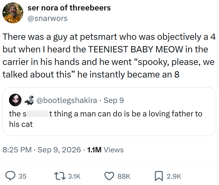 ser nora of threebeers @snarwors There was a guy at petsmart who was objectively a 4 but when I heard the TEENIEST BABY MEOW in the carrier in his hands and he went "spooky, please, we talked about this” he instantly became an 8 the s his cat @bootlegshakira • Sep 9 t thing a man can do is be a loving father to 8:25 PM. Sep 9, 2026 1.1M Views > 35 13.1K 88K ☐ 2.9K