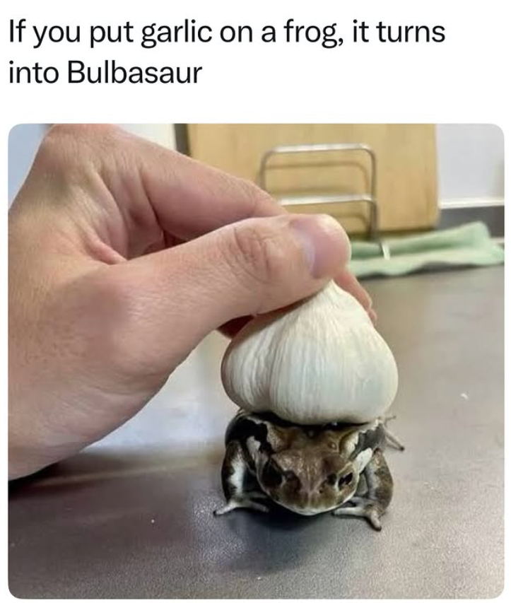 If you put garlic on a frog, it turns into Bulbasaur