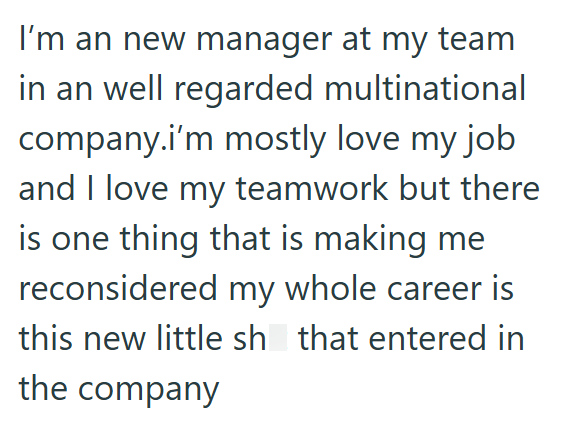 I'm an new manager at my team in an well regarded multinational company.i'm mostly love my job and I love my teamwork but there is one thing that is making me reconsidered my whole career is this new little sh that entered in the company