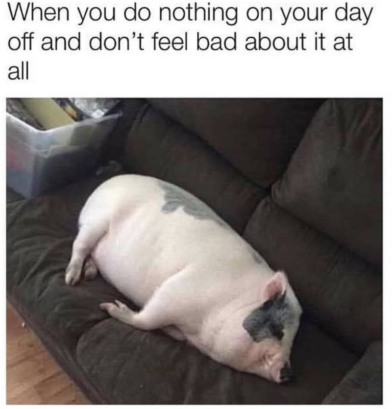 When you do nothing on your day off and don't feel bad about it at all