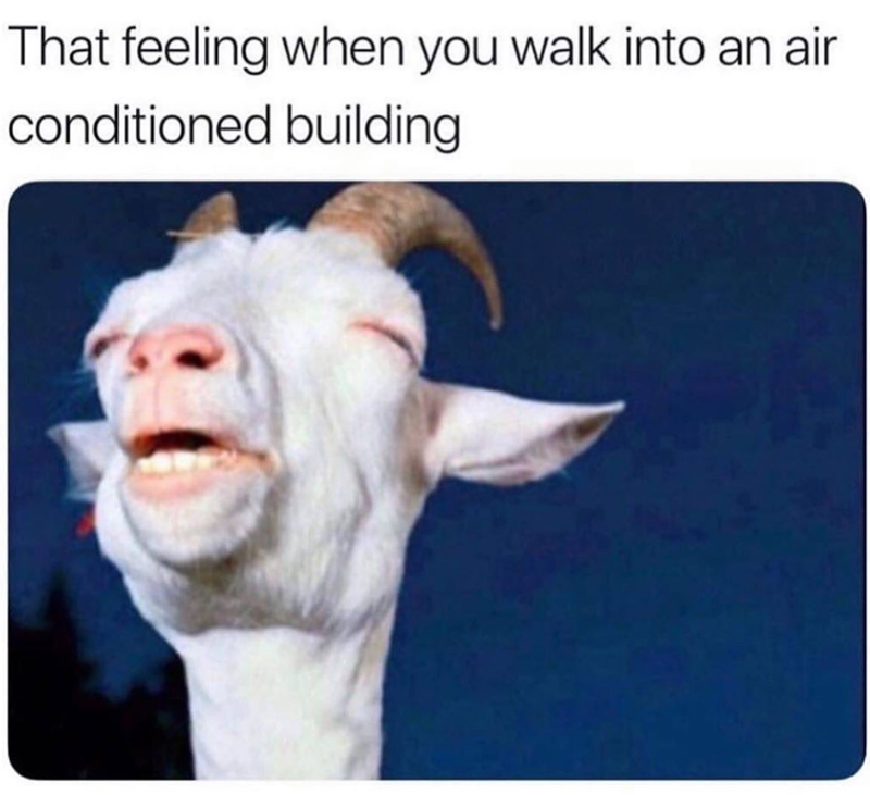 That feeling when you walk into an air conditioned building