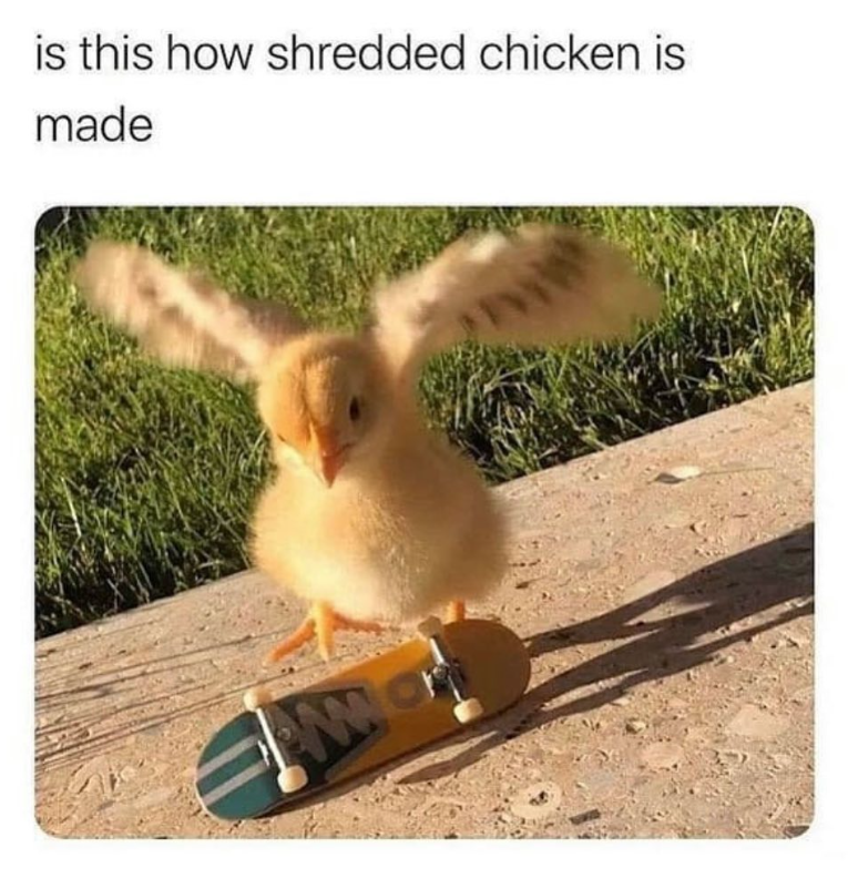 is this how shredded chicken is made