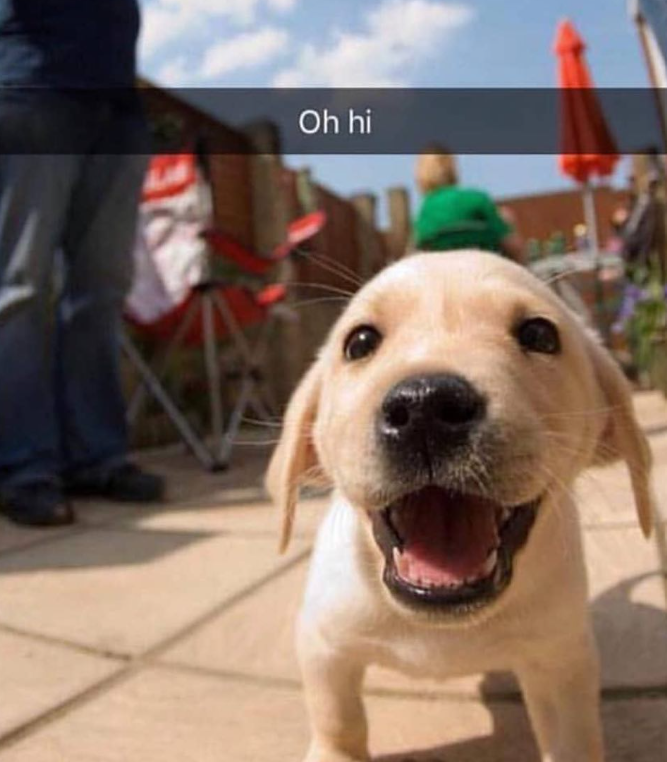 Oh hi