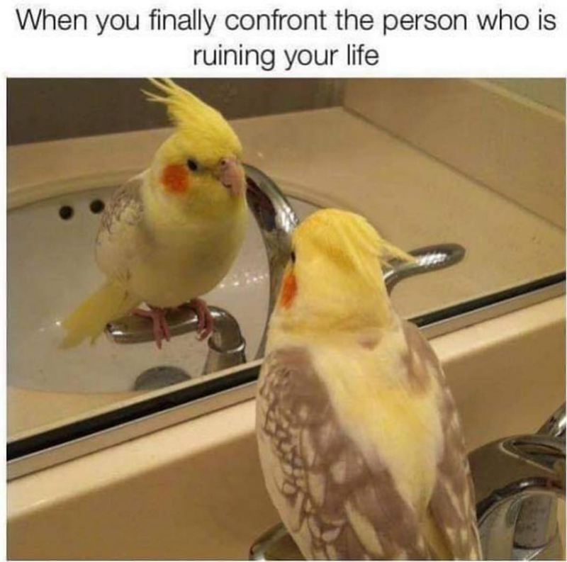 When you finally confront the person who is ruining your life