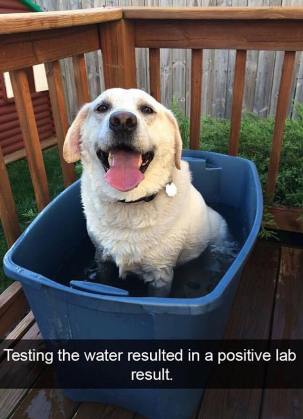 Testing the water resulted in a positive lab result.