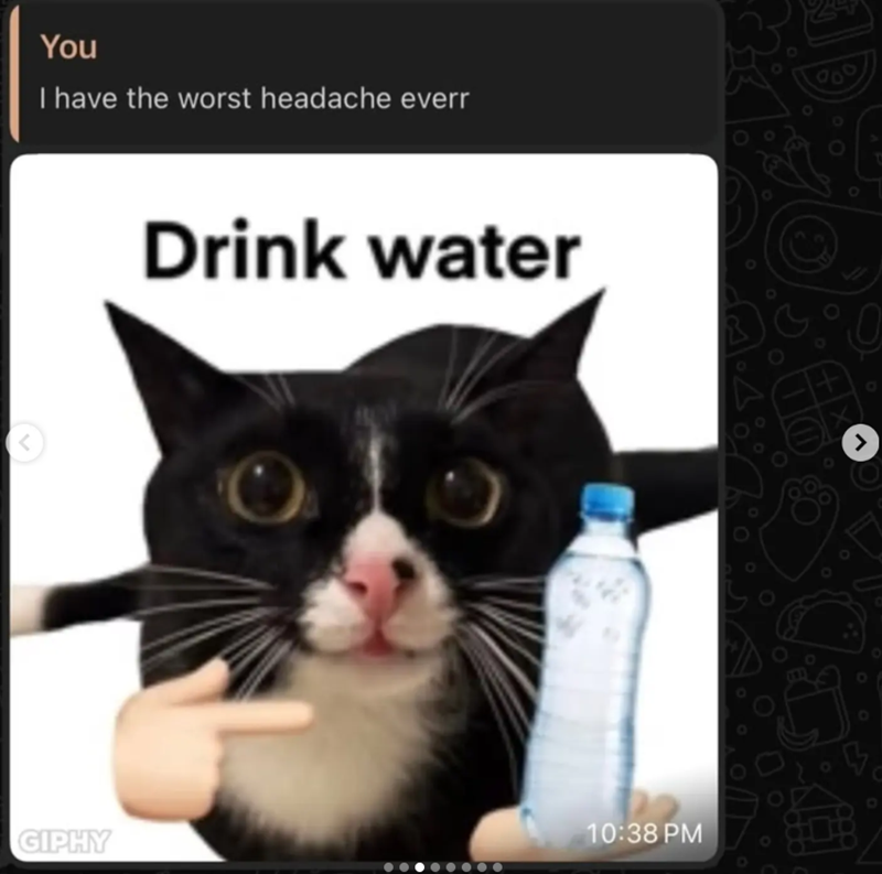 You I have the worst headache everr Drink water GIPHY 10:38 PM >