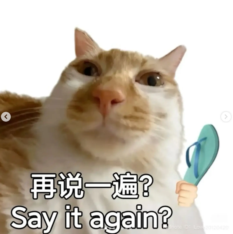 < > 再说一遍? Say it again? mote ID: Love 20120420
