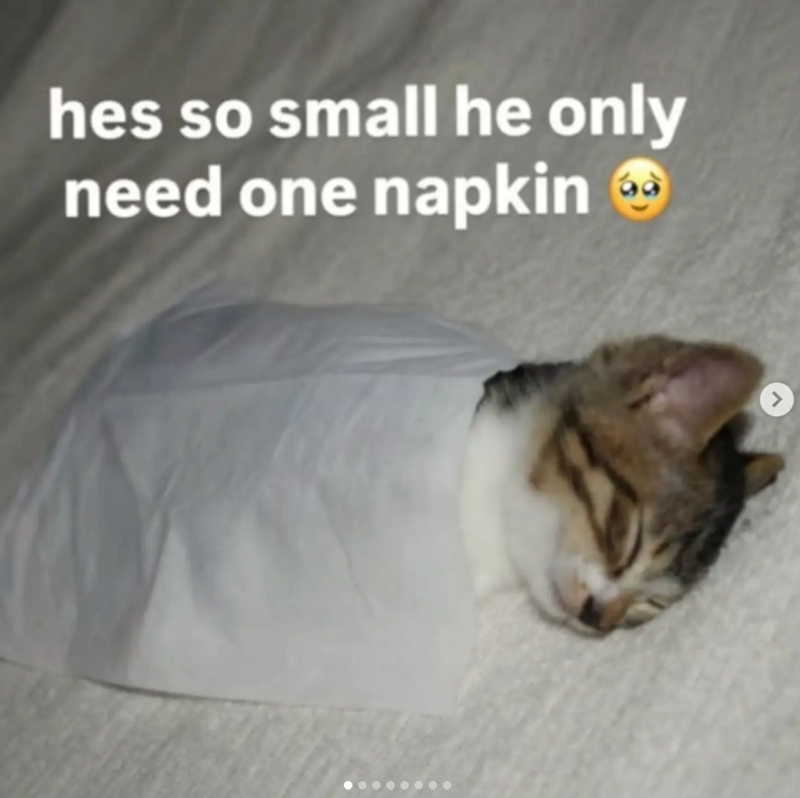 hes so small he only need one napkin → >