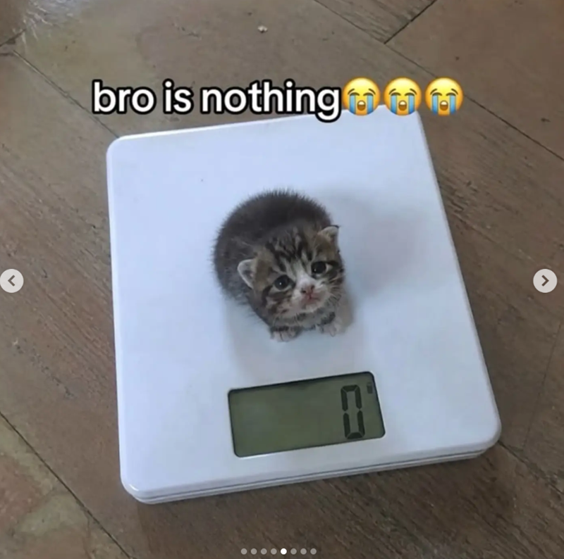 bro is nothing ニコ >