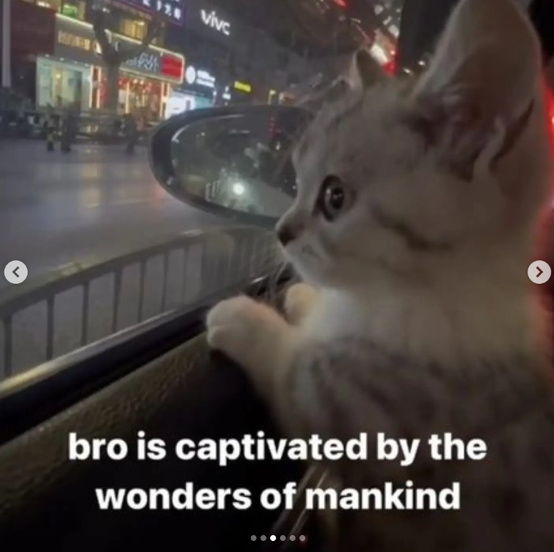 < 126 vivc bro is captivated by the wonders of mankind >