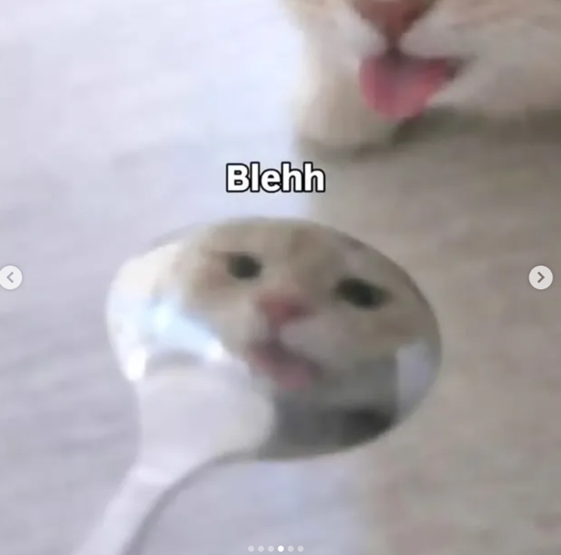 3 Blehh