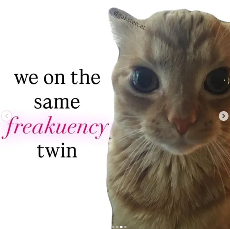 @gakstercat we on the same freakuency twin >