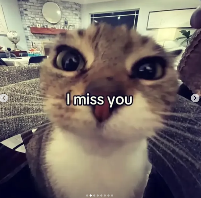 I miss you >