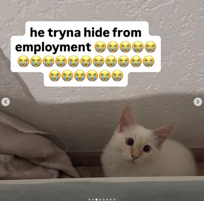 < he tryna hide from employment D. >