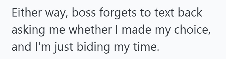 Either way, boss forgets to text back asking me whether I made my choice, and I'm just biding my time.