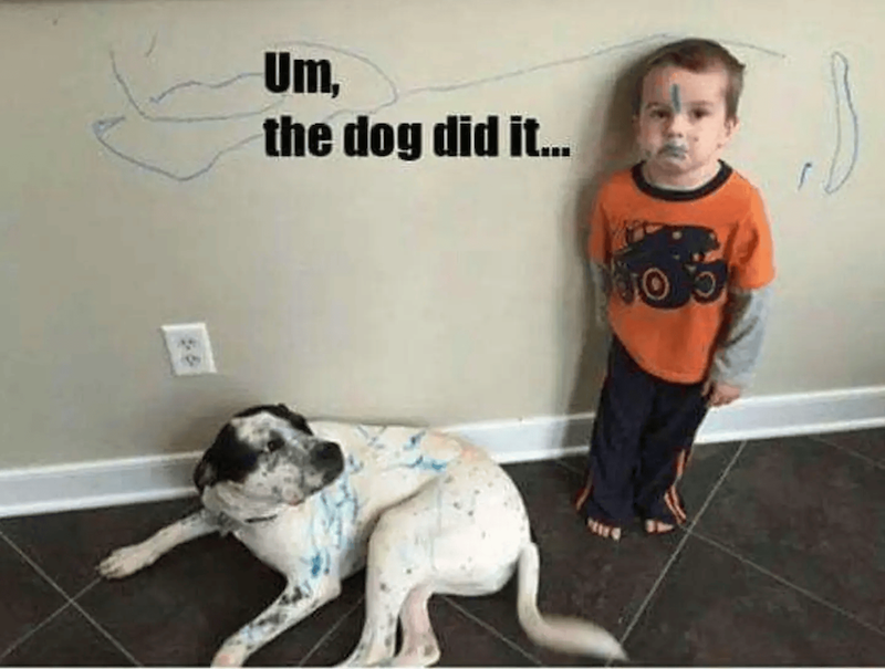 Um, the dog did it...
