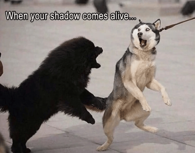 When your shadow comes alive...
