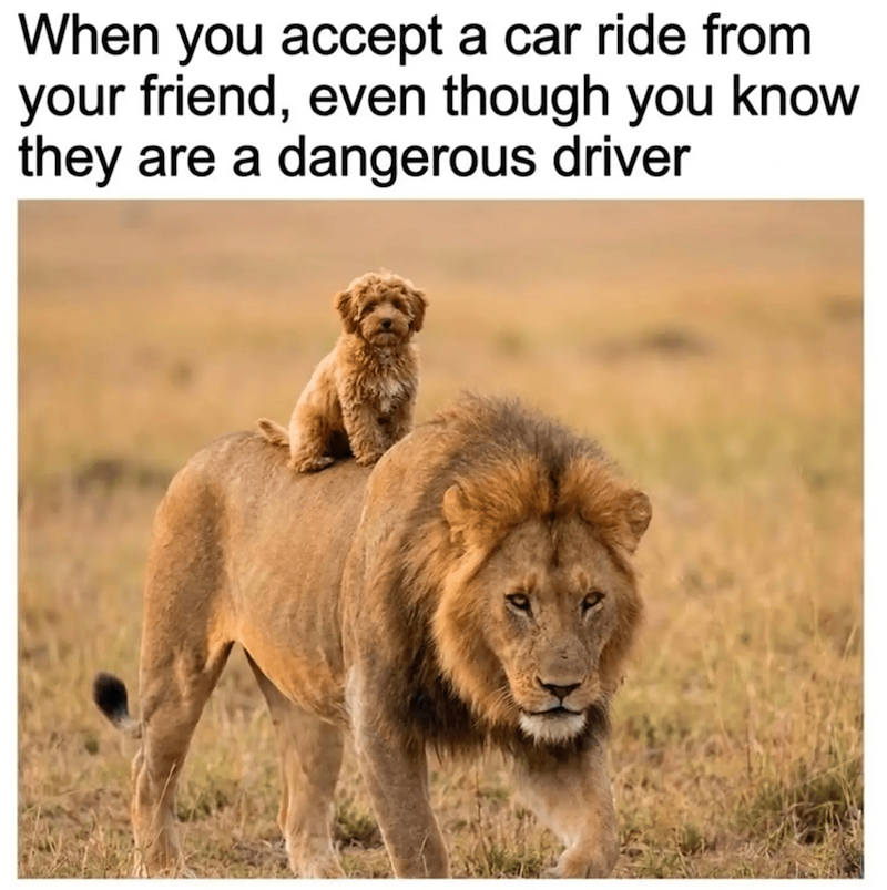 When you accept a car ride from your friend, even though you know they are a dangerous driver