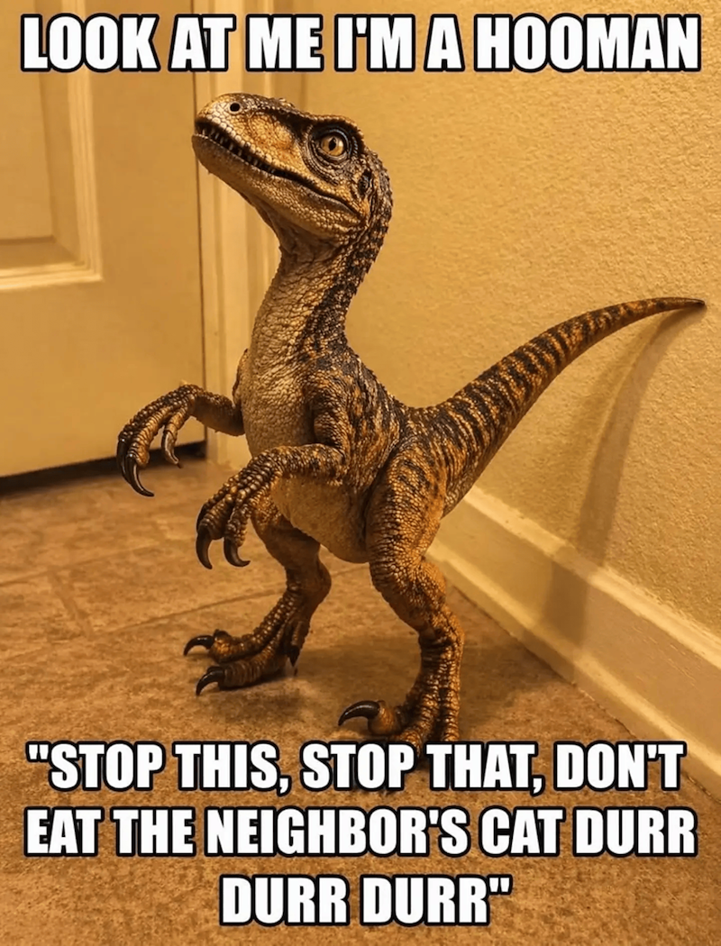 LOOK AT ME I'M A HOOMAN "STOP THIS, STOP THAT, DON'T EAT THE NEIGHBOR'S CAT DURR DURR DURR"