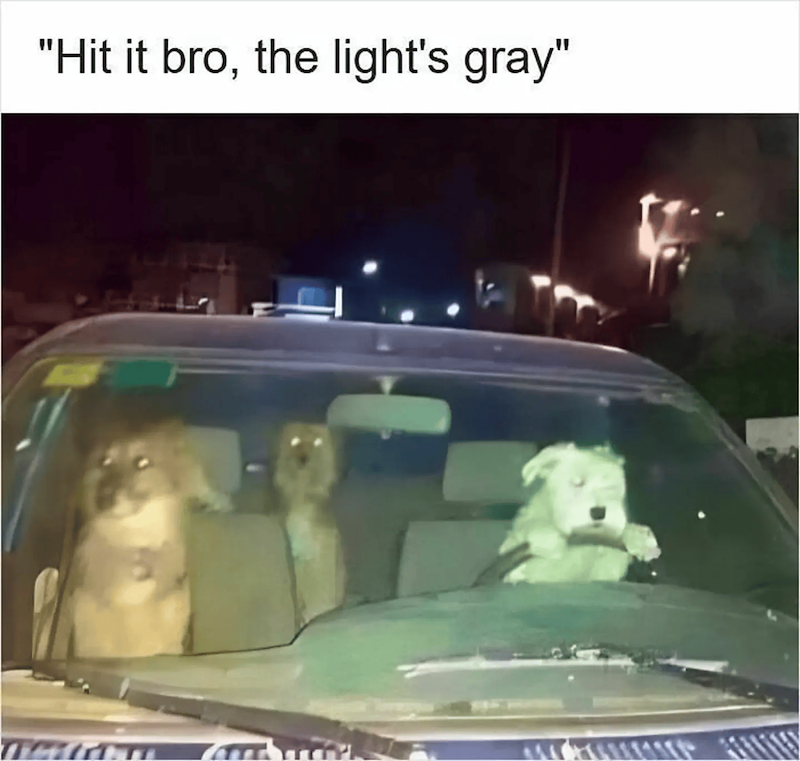"Hit it bro, the light's gray"