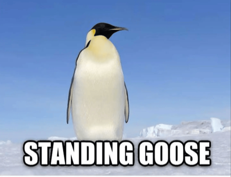 STANDING GOOSE