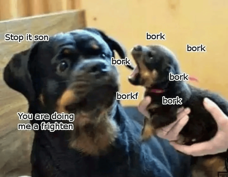 Stop it son bork bork bork bork borkf bork You are doing me a frighten